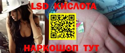 крисы Лесосибирск