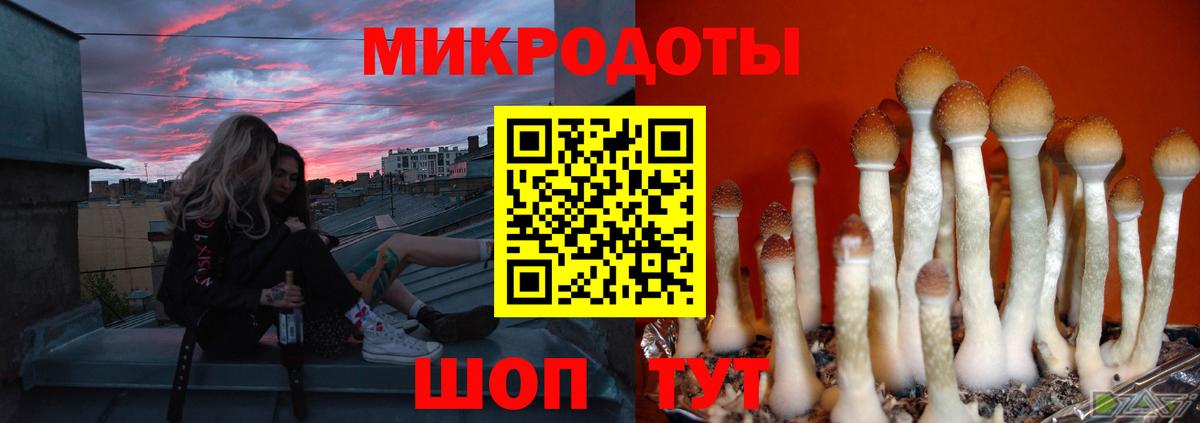 Псилоцибиновые грибы ЛСД  Вход с VPN  Кизилюрт 